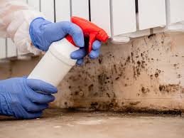 Best Crawl Space Mold Remediation  in Centerville, CA